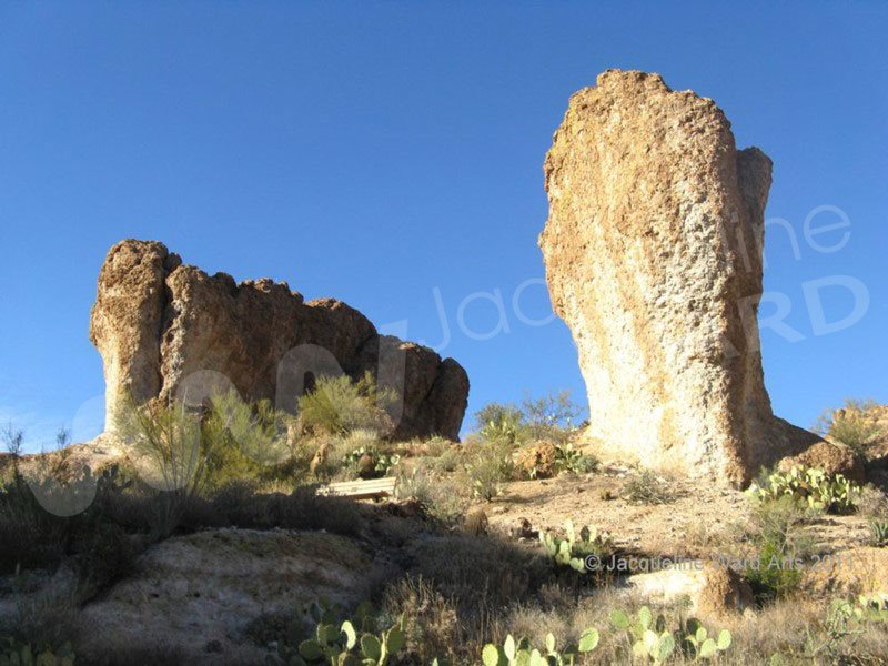 Desert Sculptures